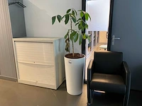 Planten met pot (4x)