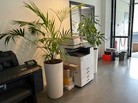 Planten met pot (4x) - afbeelding 2 van  4