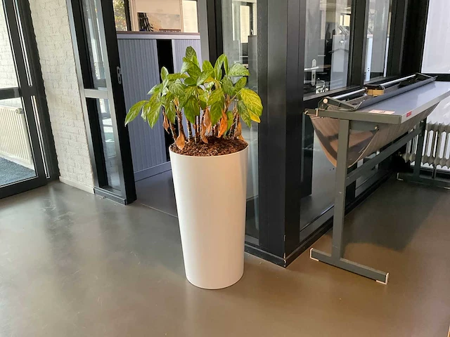 Planten met pot (4x) - afbeelding 4 van  4
