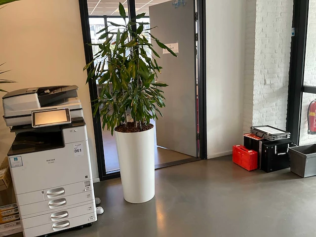 Planten met pot (4x) - afbeelding 1 van  1
