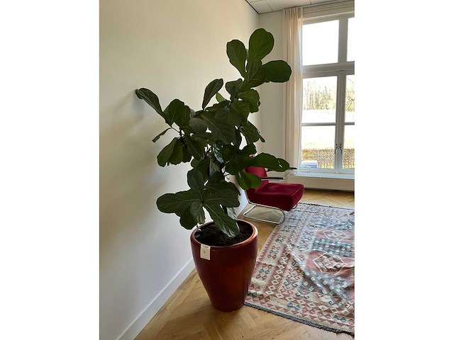 Planten met pot (5x) - afbeelding 2 van  7