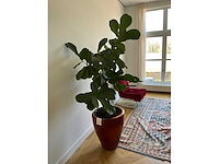 Planten met pot (5x) - afbeelding 2 van  7