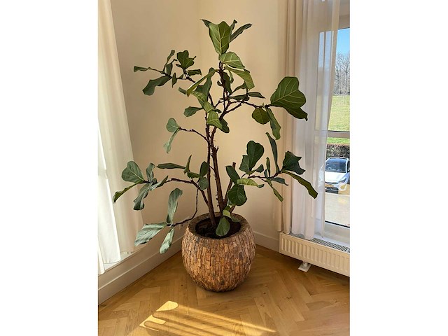 Planten met pot (5x) - afbeelding 4 van  7