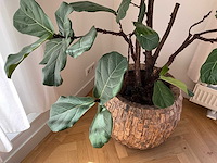 Planten met pot (5x) - afbeelding 5 van  7