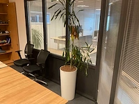 Planten met pot (5x) - afbeelding 3 van  4