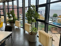 Planten met pot (5x) - afbeelding 4 van  5