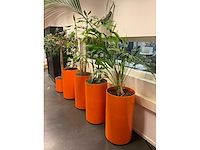 Planten met pot (5x) - afbeelding 3 van  5