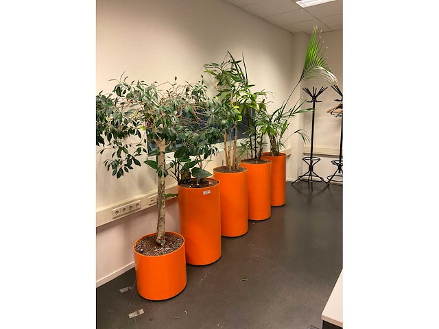 Planten met pot (5x) - afbeelding 4 van  5