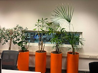 Planten met pot (5x) - afbeelding 5 van  5