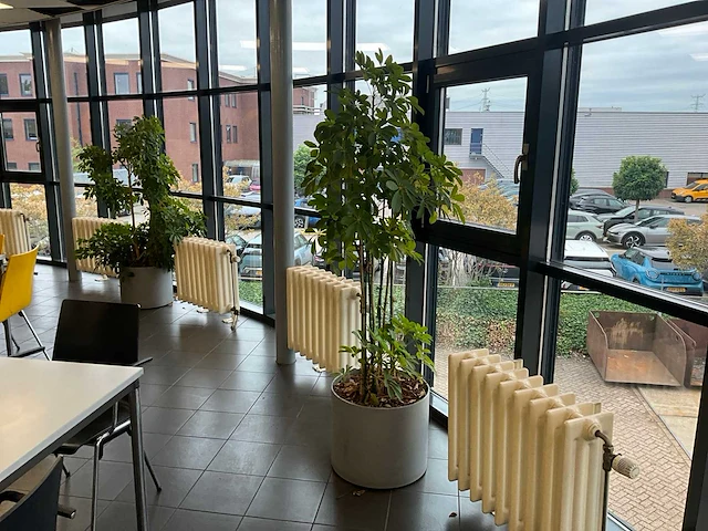 Planten met pot (5x) - afbeelding 3 van  5