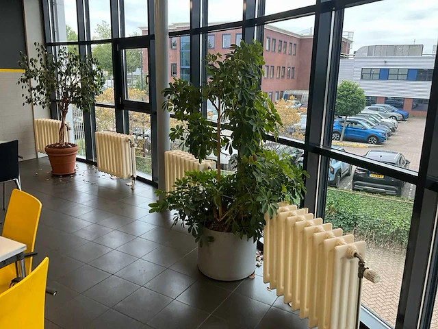 Planten met pot (5x) - afbeelding 4 van  5