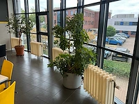 Planten met pot (5x) - afbeelding 4 van  5
