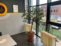 Planten met pot (5x) - afbeelding 5 van  5