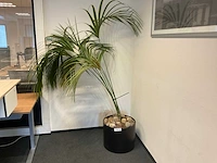 Planten met pot (5x) - afbeelding 2 van  4