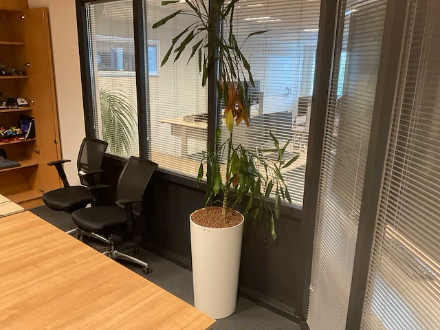 Planten met pot (5x) - afbeelding 3 van  4