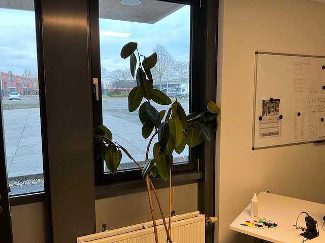 Planten met pot (6x) - afbeelding 1 van  7