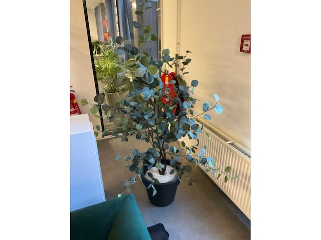 Planten met pot (6x) - afbeelding 3 van  7