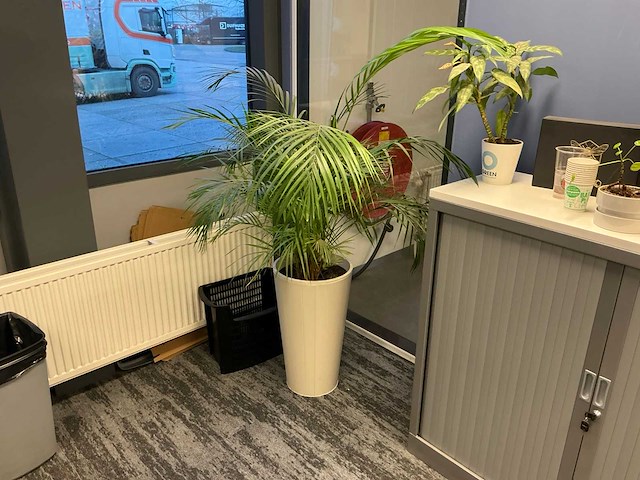 Planten met pot (6x) - afbeelding 6 van  7