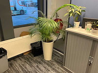 Planten met pot (6x) - afbeelding 6 van  7