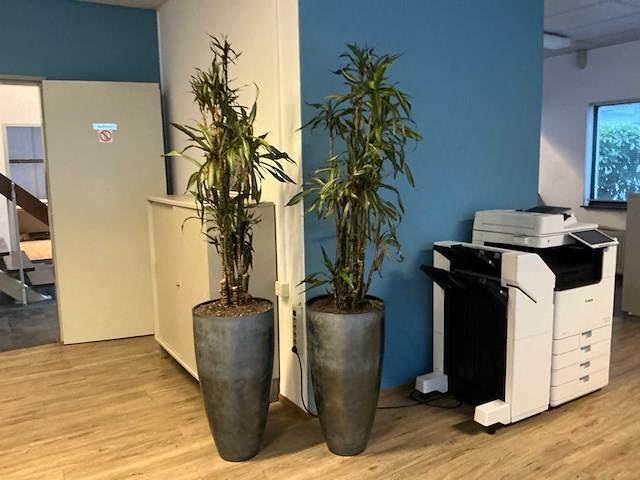 Planten met pot (7x) - afbeelding 1 van  5