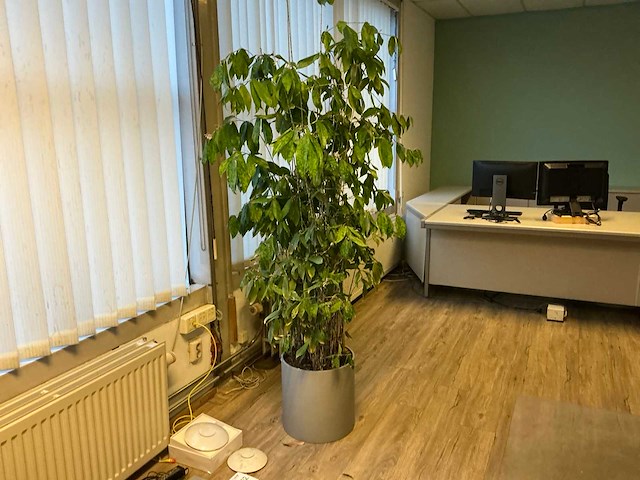 Planten met pot (7x) - afbeelding 4 van  5