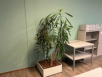 Planten met pot (7x) - afbeelding 5 van  5