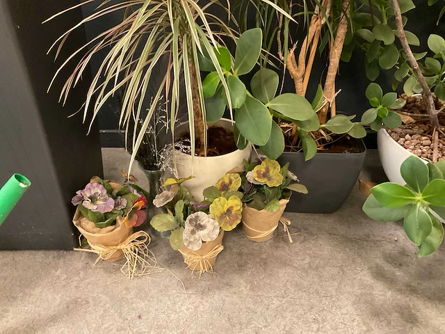 Planten met pot (7x) - afbeelding 10 van  12