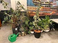 Planten met pot (7x)