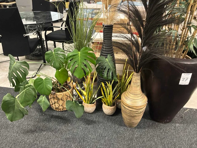 Planten met pot (8x) - afbeelding 1 van  2
