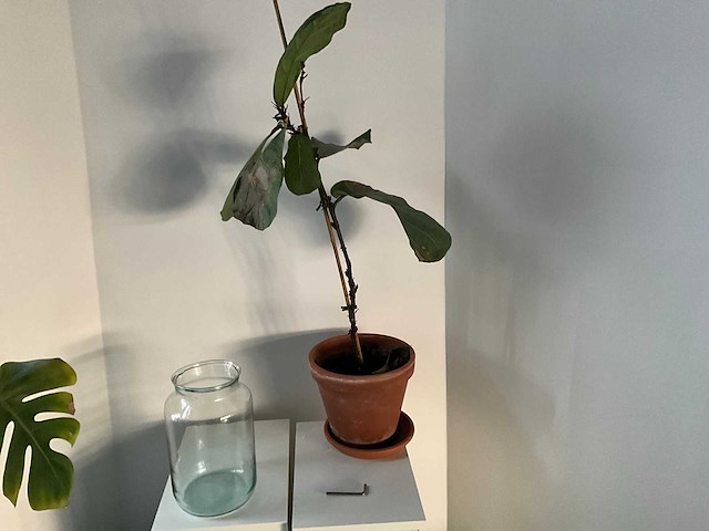 Planten met pot (9x) - afbeelding 2 van  6