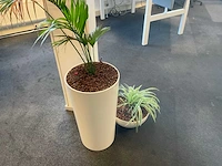 Planten met pot met hydrocultuur (4x) - afbeelding 3 van  6