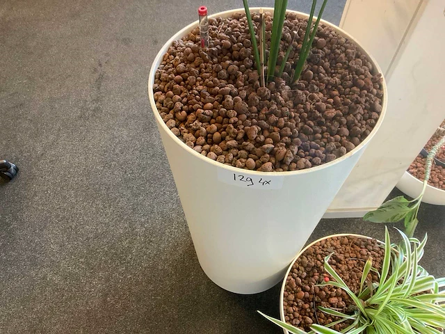 Planten met pot met hydrocultuur (4x) - afbeelding 5 van  6
