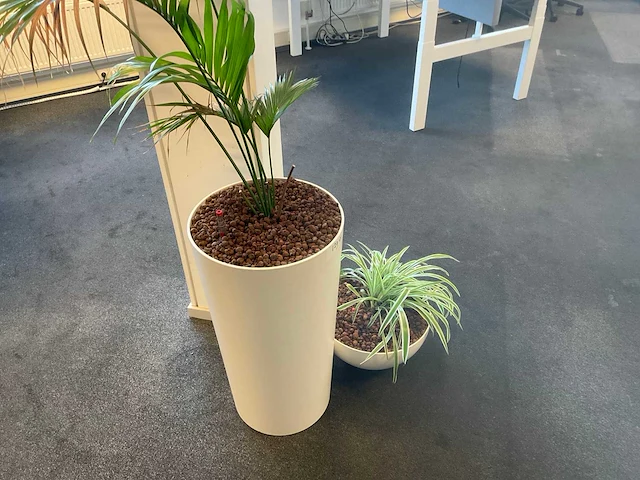 Planten met pot met hydrocultuur (4x) - afbeelding 3 van  6