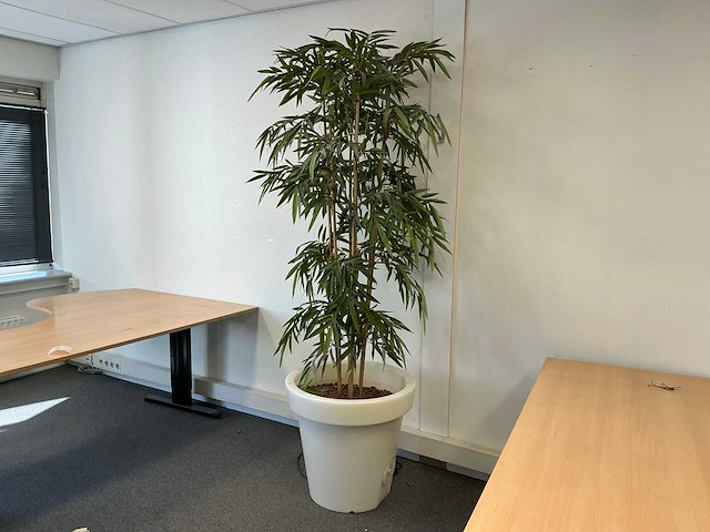 Planten met pot - afbeelding 1 van  7