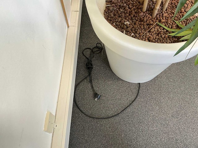 Planten met pot - afbeelding 7 van  7
