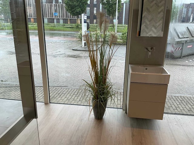 Planten met pot - afbeelding 1 van  7