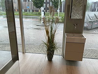 Planten met pot - afbeelding 1 van  7