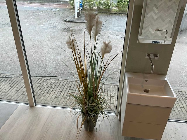 Planten met pot - afbeelding 2 van  7