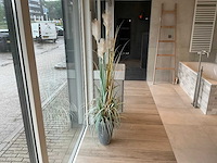 Planten met pot - afbeelding 3 van  7
