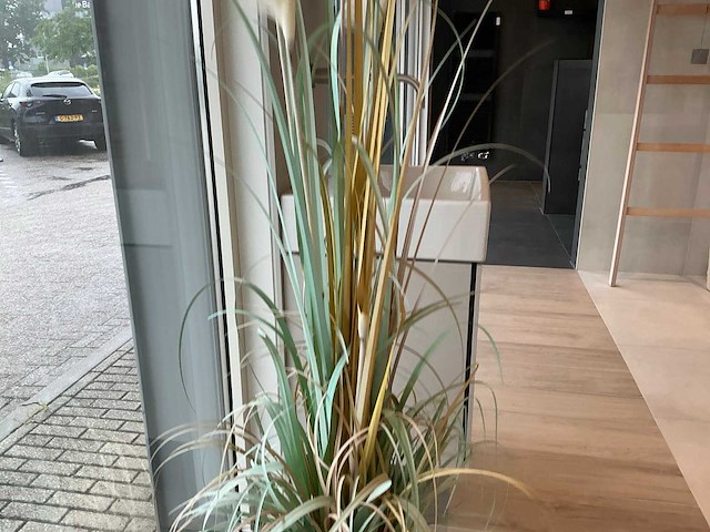 Planten met pot - afbeelding 6 van  7