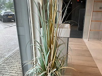 Planten met pot - afbeelding 6 van  7
