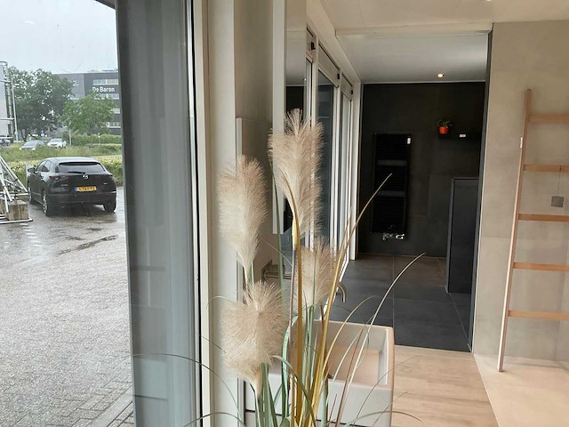Planten met pot - afbeelding 7 van  7