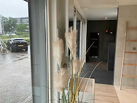 Planten met pot - afbeelding 7 van  7