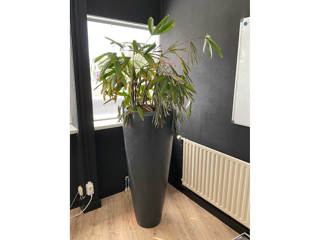 Planten met pot - afbeelding 2 van  2