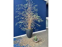 Planten met pot - afbeelding 2 van  7