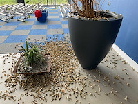Planten met pot - afbeelding 5 van  7