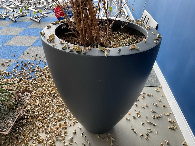 Planten met pot - afbeelding 6 van  7