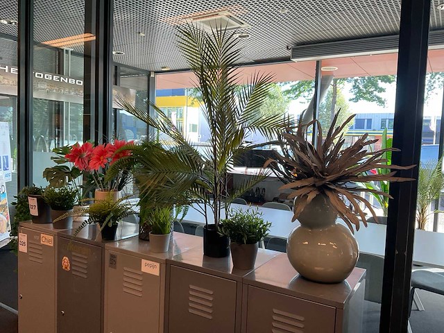 Planten met pot - afbeelding 2 van  6