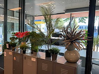 Planten met pot - afbeelding 2 van  6