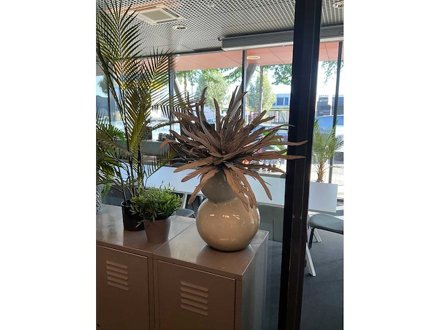 Planten met pot - afbeelding 3 van  6